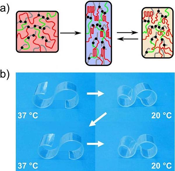 Monils - 默尼離子液體